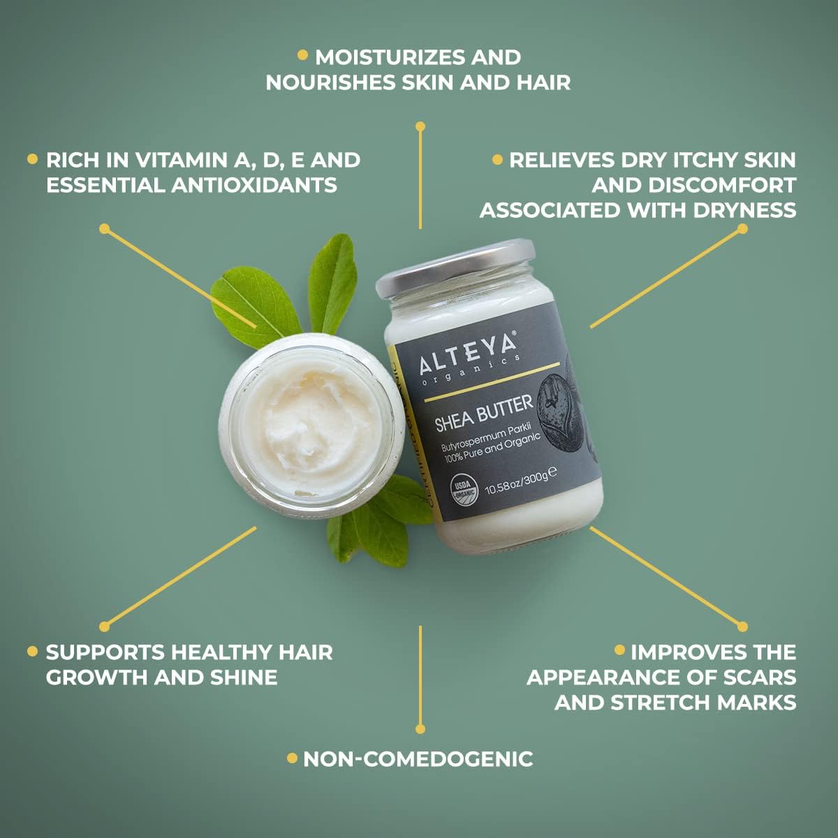 Аlteya Organic Shea Butter 300g - USDA Certified Organic 100% Pure, Natural - All Skin Types Body Butter - Face, Lips, Hair - Nourishes,Protects, Moisturizes