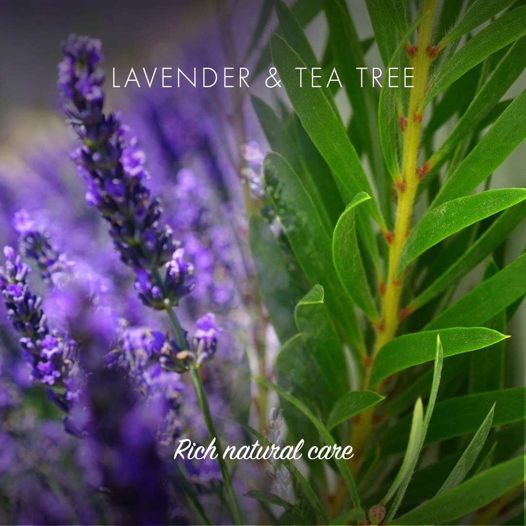 FRIENDLY SOAP Lavender Tea Tree Shampoo Bar, 95 GR
