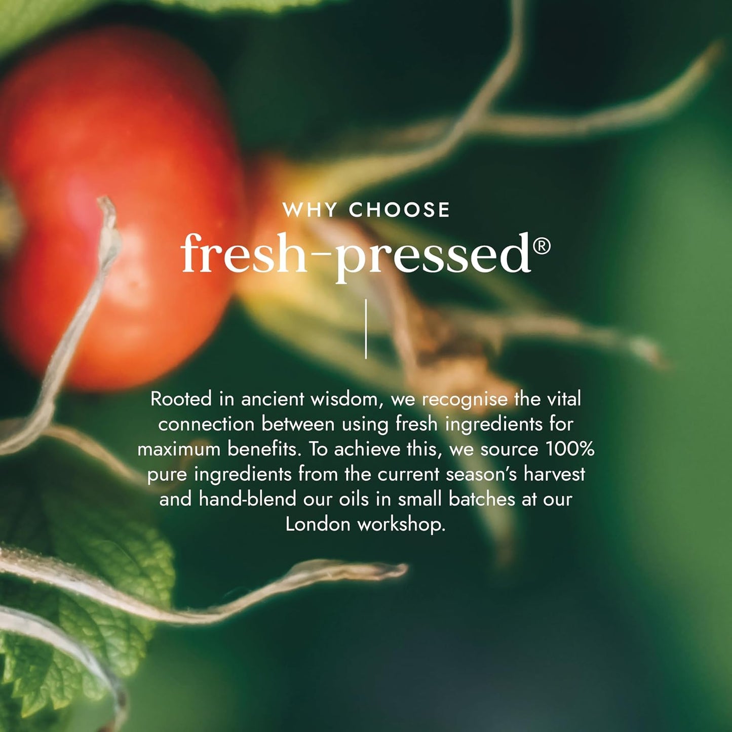 Fushi Organic Rosehip Seed Oil 100 ml | min Vitamin E 18.3 mcg/g | Fresh-Pressed | Best for Scars, Fine Lines & Stretch Marks | Ethical & Vegan Society Approved | Manufactured in the UK