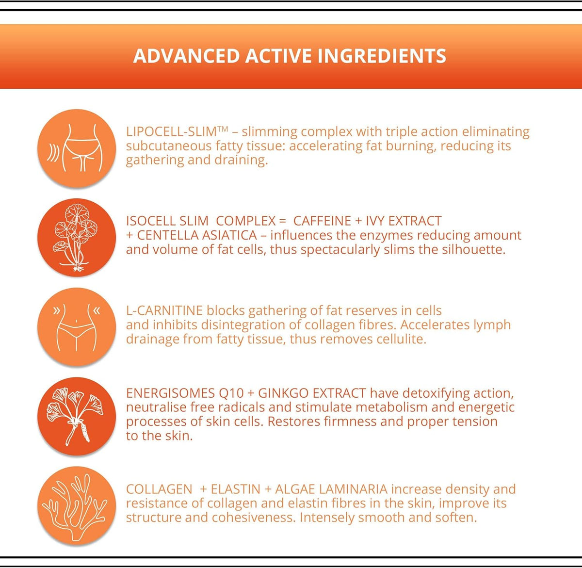 Eveline Cosmetics Slim Extreme 4D Liposuction Serum - Intensive Slimming & Reshaping Serum with Lipocell-Slim™, Isocell Slim, L-Carnitine, Q10, and Ginkgo Extract - 250 ml