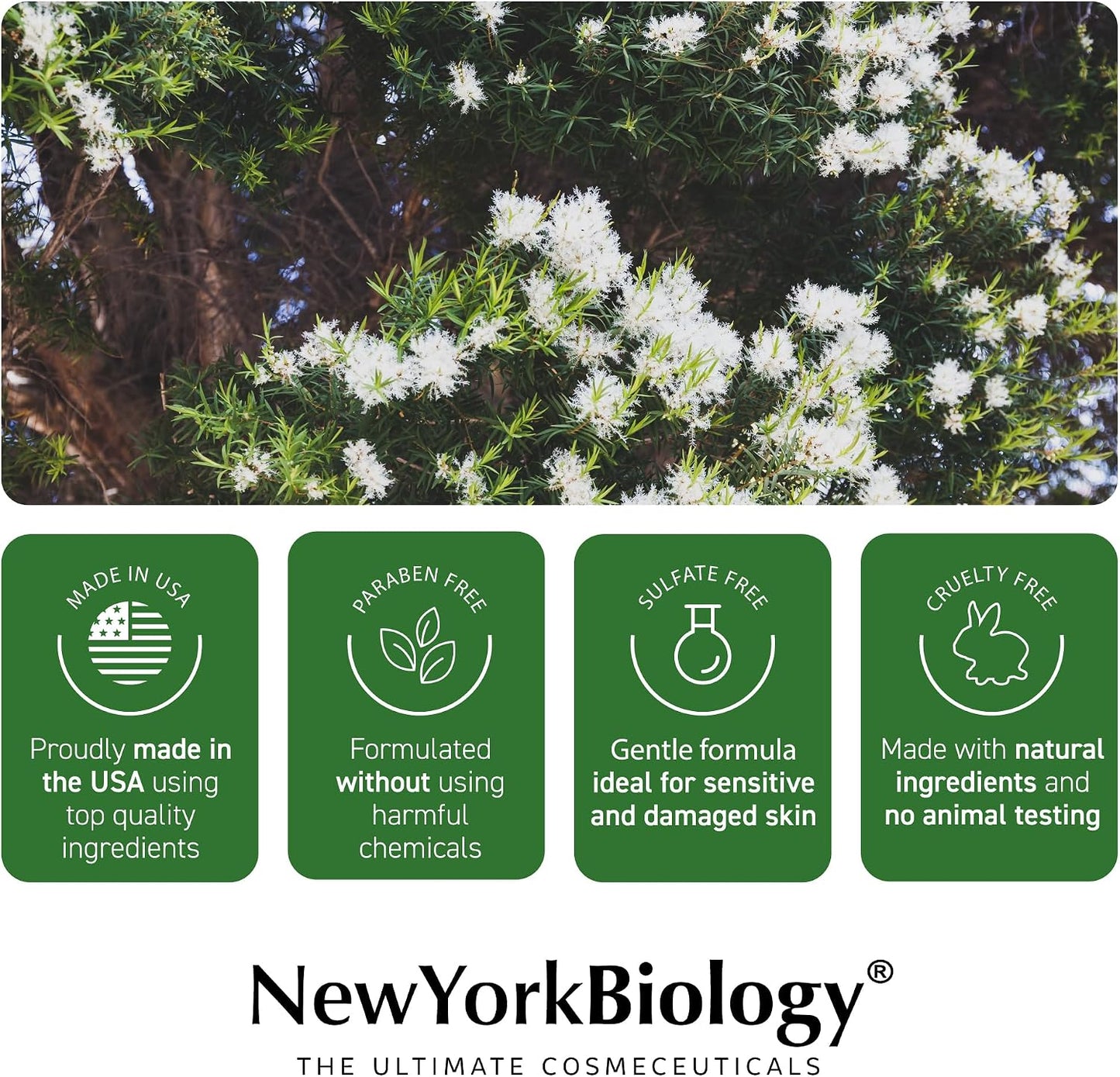New York Biology Tea Tree Body Wash - Helps Nail Fungus, Athletes Foot, Ringworms, Jock Itch, Acne, Eczema & Body Odor, Soothes Itching & Promotes Healthy Skin and Feet - 236 ml