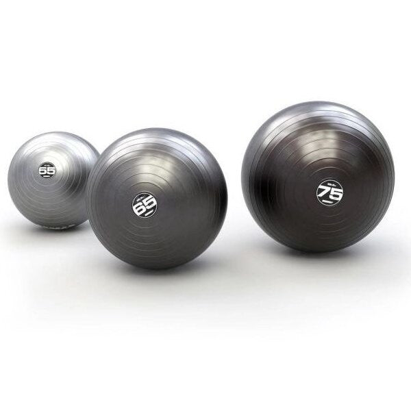 STEADYBALL PRO