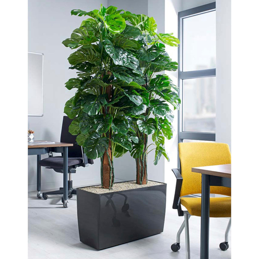 CHEESE PLANT TROUGH