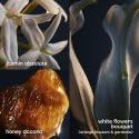 LADY MILLION EAU DE PERFUM VAPO 80 ML ORIGINAL