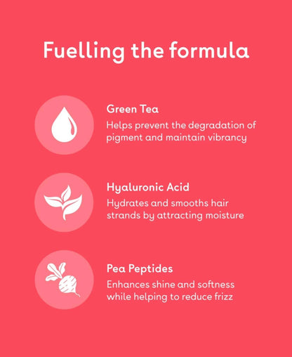 Q+A Colour Protect Conditioner with Green Tea, Hyaluronic Acid &amp; Pea Peptides, Colour Safe Conditioner for Colour Treated Hair, Hydrating Anti Fade Conditioner for Softness &amp; Shine, 250ml