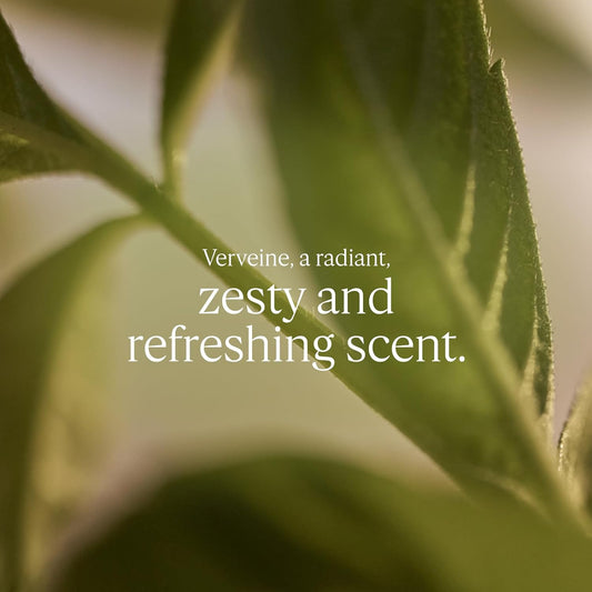 L'OCCITANE - Verbena Shower Gel - Zesty and refreshing fragrance - Made in France