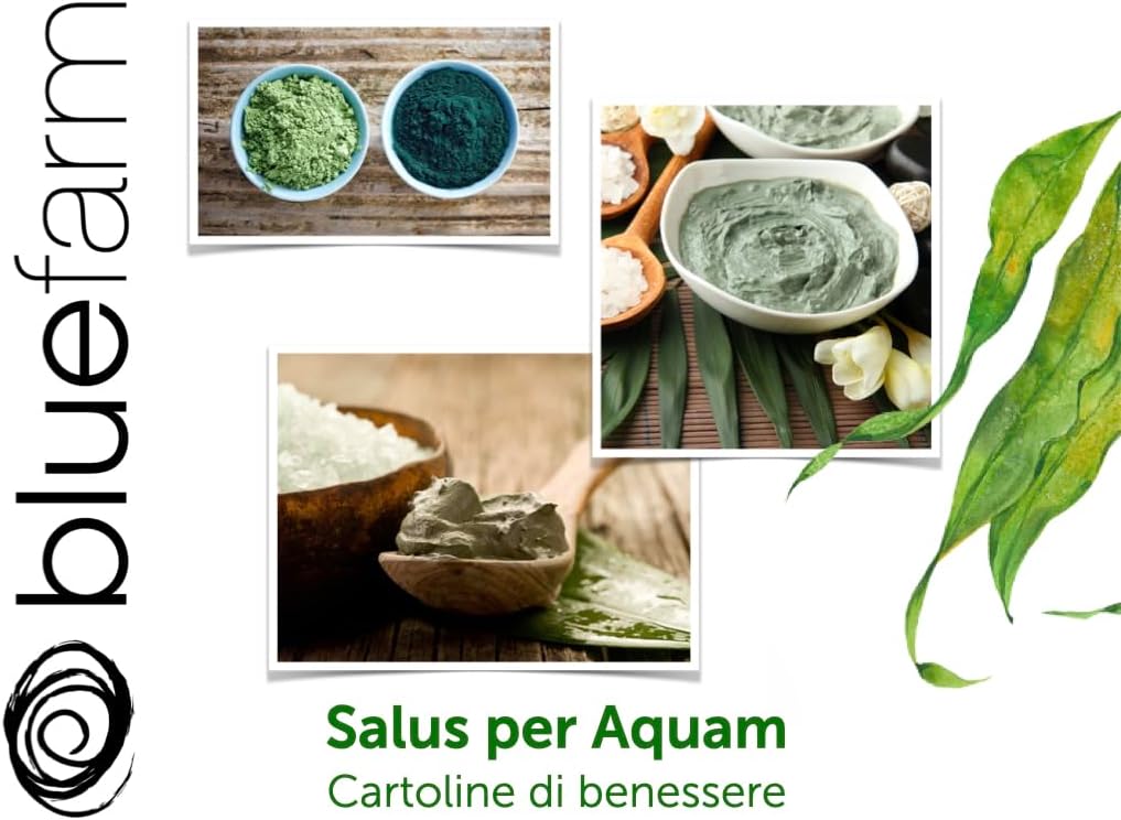 BLUE FARM | Laminaria seaweed in powder 2000 gr micronized and super ventilated. 100% pure, natural, original and untreated product.