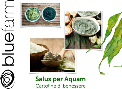 BLUE FARM | Laminaria seaweed in powder 2000 gr micronized and super ventilated. 100% pure, natural, original and untreated product.