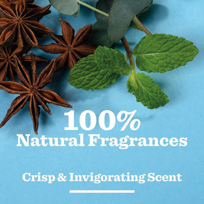 BULLDOG SKINCARE - Peppermint and Eucalyptus Roll On Natural Deodorant For Men 75 ml