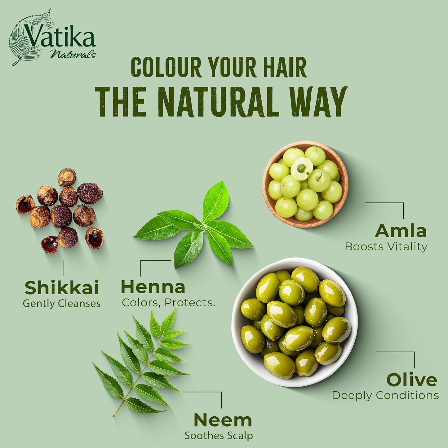 Vatika Naturals Henna Burgundy Hair Colours - 60g (6 x 10g Sachets),100% Ammonia Free, For Vibrant Color, Shine, &amp; Coverage (Packaging May Vary)