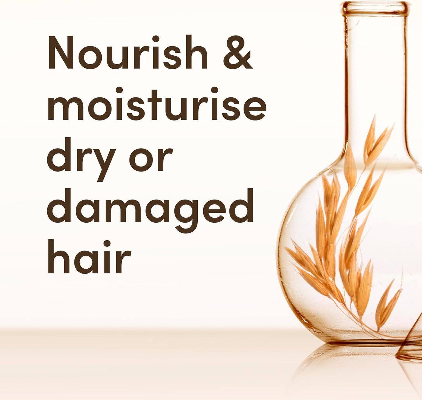 Aveeno Oat Milk Daily Moisture Conditioner – A Quiet Hero for Dry Scalp