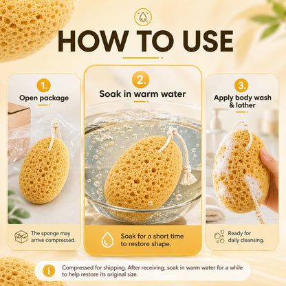 Body Bath Sponges for Adults - 2Pcs Large Shower Sponge for Women Men - Soft Honeycomb Natural Sponge - Exfoliating Deep Cleaning Bathroom Bathing Body Sponges for Sensitive Skin