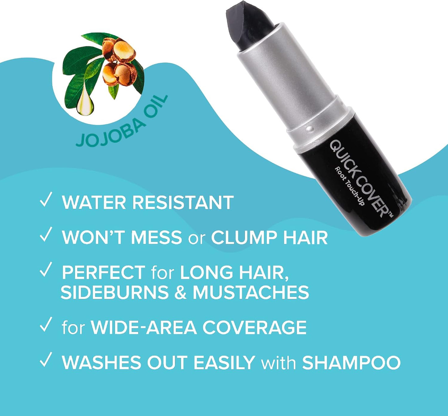 Kiss Quick Cover Grey Hair Touch Up Stick Type LGC02 (Black)