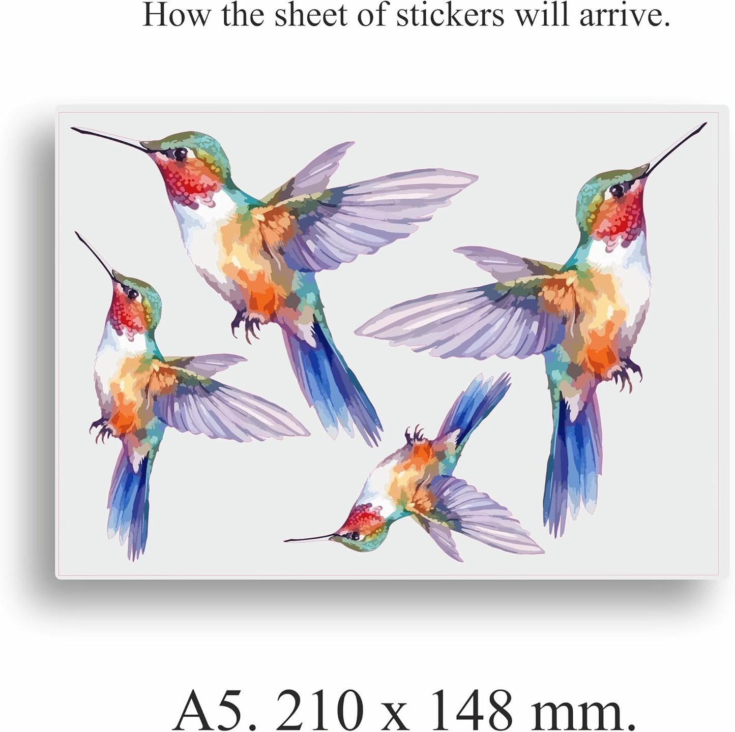 x4 Purple Humming Bird Stickers for Wall Decor, Covering Marks, Mugs &amp; Cups, Car Bumpers, Shower &amp; Tile, Toilets, Laptop &amp; More, Hardwearing Waterproof 0% Transparency (Purple Humming, A5)