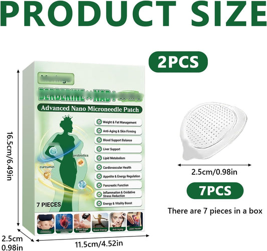 10 IN 1 Advanced Nano Microneedle Patch, Natural Moringa Berberine Patch, Mild &amp; Comfortable, Suitable For All Body Types (2 Pack)