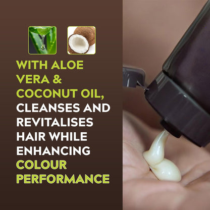 Just For Men Control Gx – the shampoo that quietly tames grey
