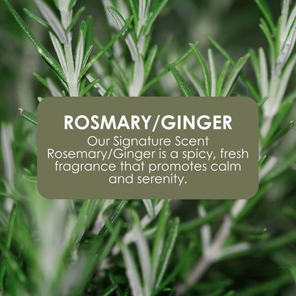 Jean &amp; Len hand soap Rosemary &amp; Ginger, cleanses stressed hands, for daily use, liquid soap in refillable pump dispenser, without parabens &amp; silicones, 250 ml