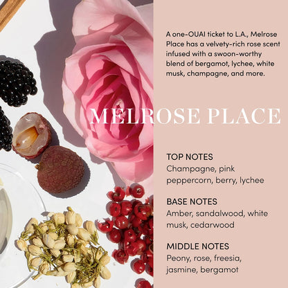 OUAI Scalp &amp; Body Scrub - Melrose Place - Exfoliating Body Polish with Sugar &amp; Coconut Oil Blend for Smooth, Moisturized Skin - Gentle Scalp Exfoliator for Removing Product Build Up (250g)