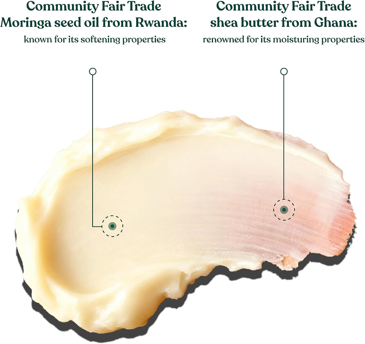 The Body Shop Moringa Body Butter (1x 200ml), Rich Nourishing Body Cream for Dry Skin, 96H Moisturising Body Butter, Floral Scented Butter for Softer Skin, Ultra-Hydrating Vegan Skincare