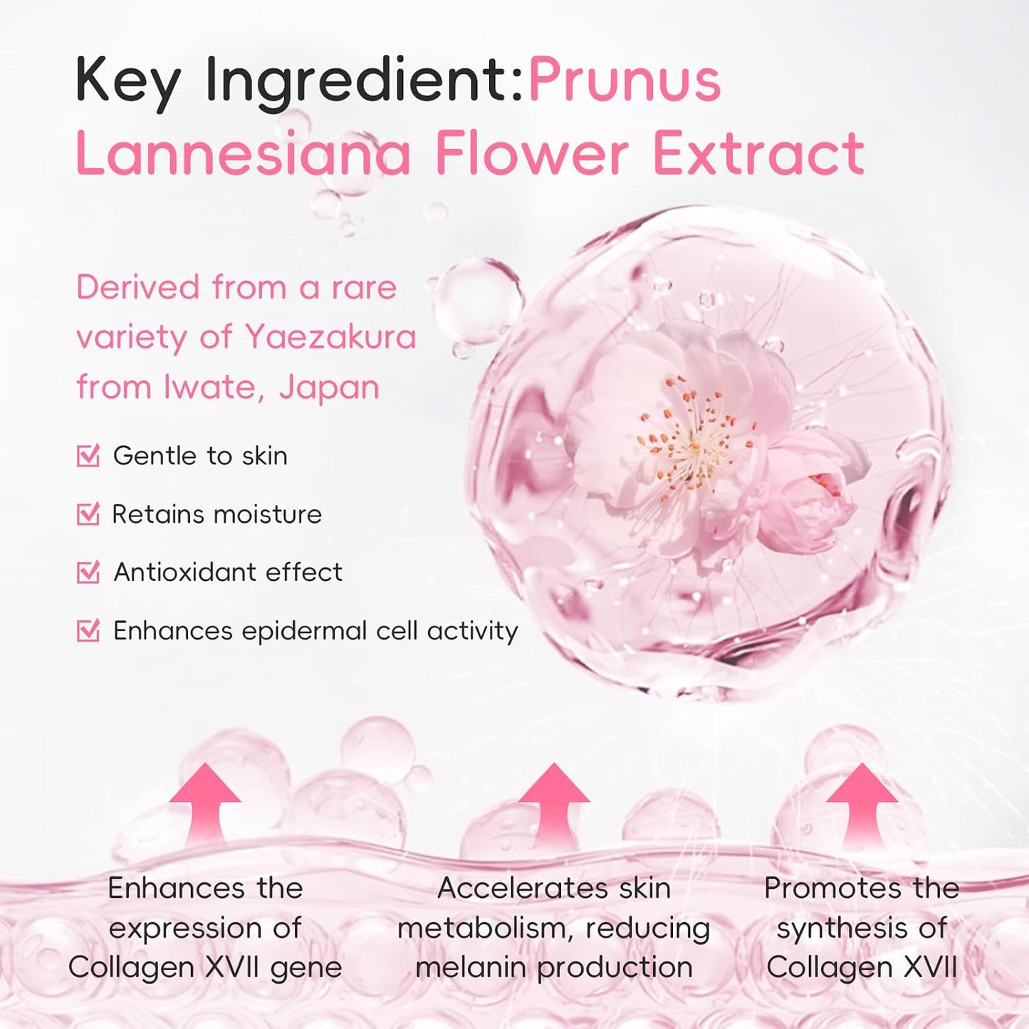 LAIKOU Sakura Bath Gift Set, Pamper Gifts for Women, Body Lotion Body Wash Scrub Hand Cream and More, Unique Self Care Package, Mothers Day Christmas Birthday Gift Ideas for Her Friend Sister Mum Wife