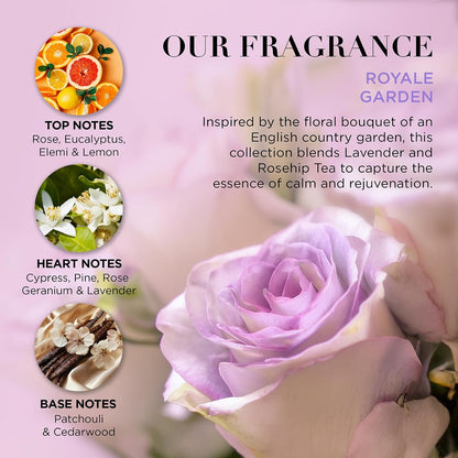 Baylis &amp; Harding Royale Garden Lavender &amp; Rosehip Tea Luxury Hand Care Gift Set (Pack of 1) - Vegan Friendly