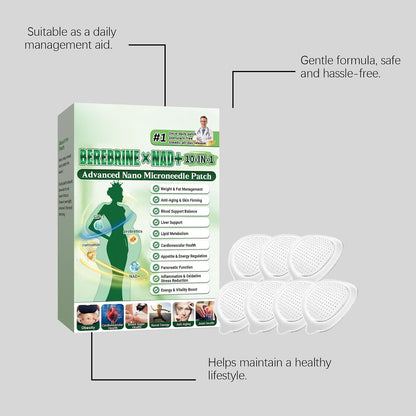 10-IN-1 Advanced Nano Microneedle Patch,Luxurious Weight Loss Patches, Natural Metabalance Patch, Microneedle Patches, Gentle Soothing, for All Body Types (2pc)