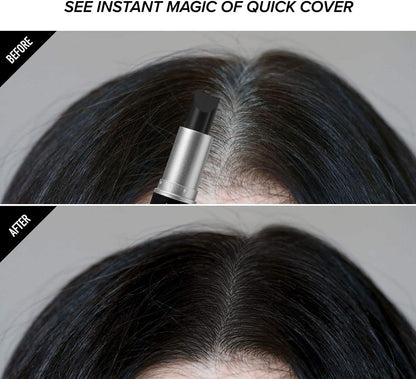 Kiss Quick Cover Grey Hair Touch Up Stick Type LGC02 (Black)