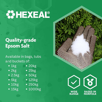 Why a 10 kg Bucket of Hexeal Epsom Salt feels like a small kitchen miracle