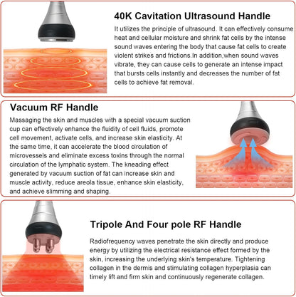 Elitzia 4 in 1 Body Shaper Beauty Machine Skin Care Tool Rf Cavitation Vacuum Multipole Device Salon Spa Equipment Home Use Massager for Arm Waist Belly ETLW202