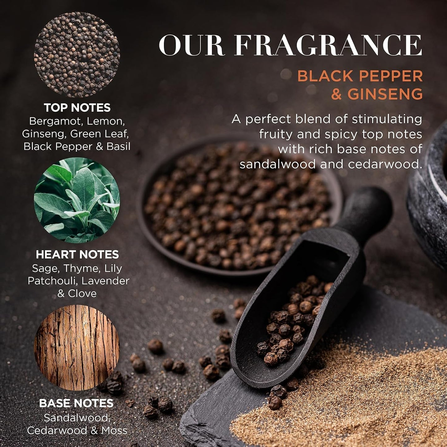 Baylis &amp; Harding Black Pepper &amp; Ginseng Men's The Essentials Tin Kit Gift Set (Pack of 1) - Vegan Friendly