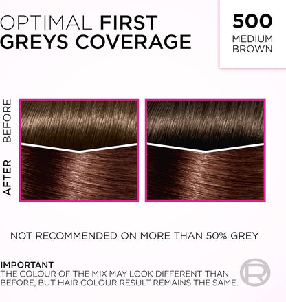 L'Oréal Paris Casting Crème Gloss Hair Dye Semi-Permanent, Ammonia-Free Formula &amp; Honey-Infused Conditioner, Glossy Finish, Colour for Up to 28 Shampoos, Colour: 500 Medium Brown