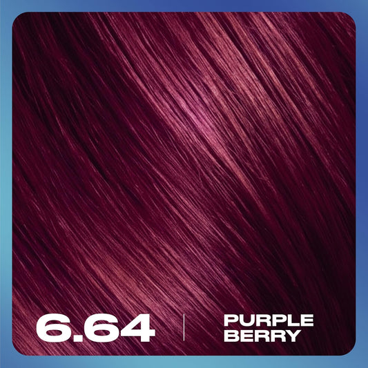 Clairol Nice N Easy Permanent Bold Zero Ammonia Hair Dye 6.64 Purple Berry