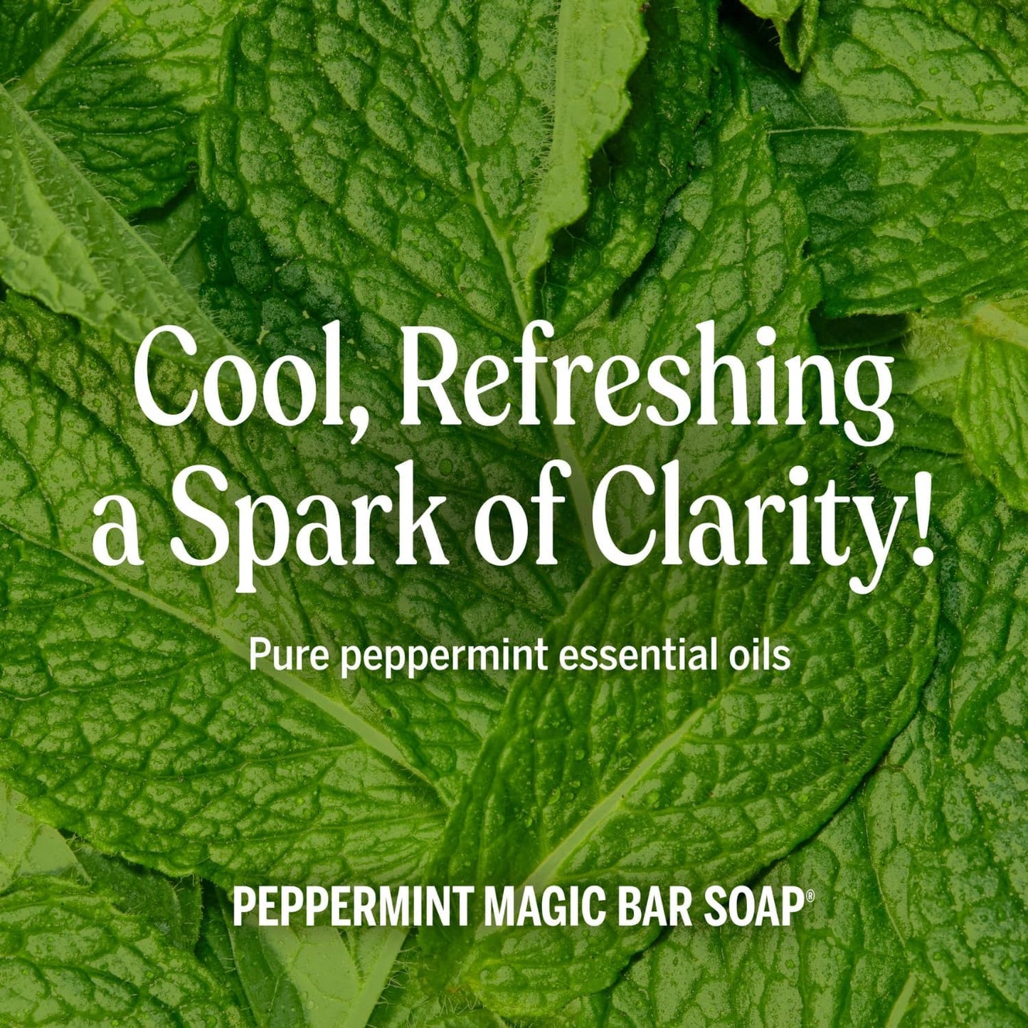 Dr Bronners Pure Castile Soap Peppermint (237ml 100% organic)