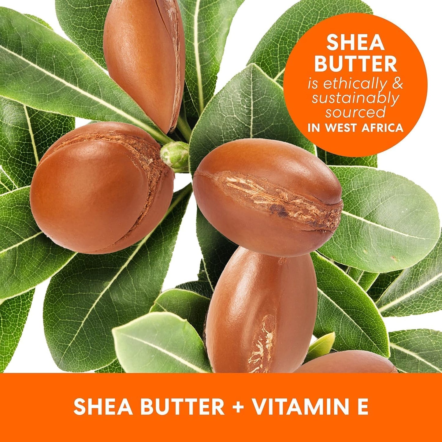 PALMER'S Shea Butter Formula Raw Shea Nourish Body Oil with Vitamin E, 250ml - Deep Moisturizing &amp; Hydrating Body Oil for Dry Skin, Bath, Shower &amp; Massage.(With Cosmetic Spatula)