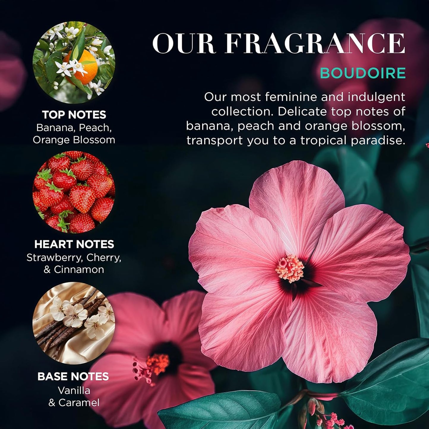 Baylis &amp; Harding Boudoire Tropical Paradise Luxury Hand Care Gift Set (Pack of 1) - Vegan Friendly