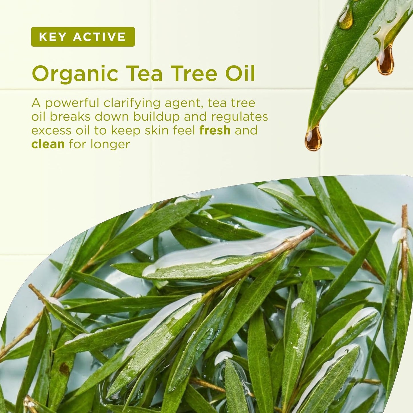 Dr Organic Tea Tree Body Wash, Shower Gel, Natural, Vegan, Cruelty-Free, Paraben &amp; SLS-Free, Recyclable &amp; Recycled Ocean Bound Plastic, Certified Organic, 250ml, Packaging may vary