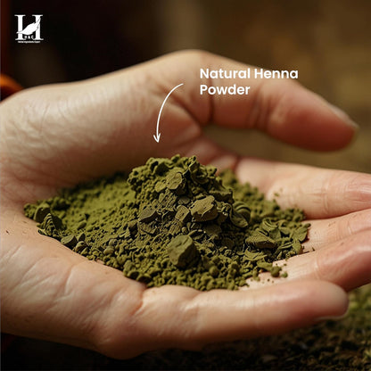 H&amp;C 100% Pure Natural Henna Powder (Lawsonia Inermis) 227 Gms (1/2 Lb) For Hair…