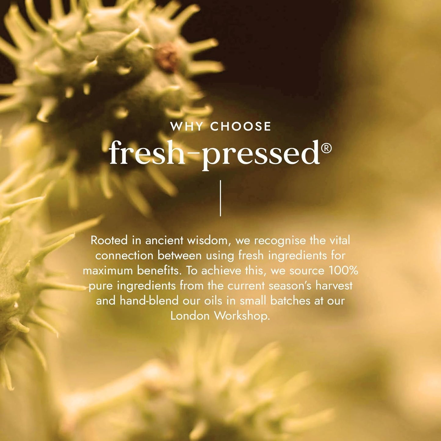 Why Fushi’s Organic Castor Oil Is Worth a Spot on Your Vanity