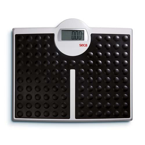 SECA DIGITAL 813 SCALE