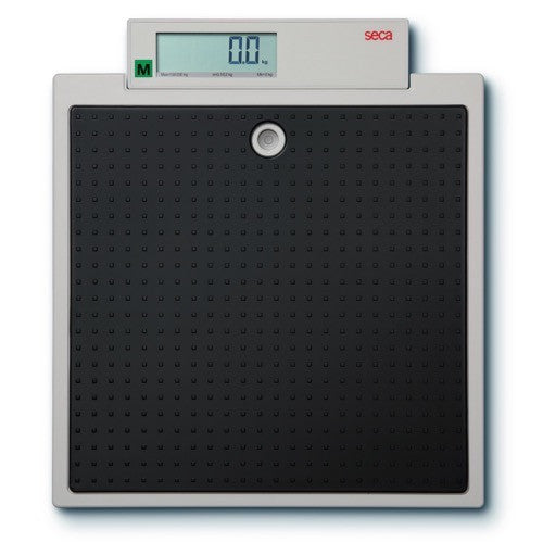 SECA DIGITAL 875 SCALE
